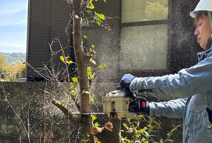 リンクの伐採作業