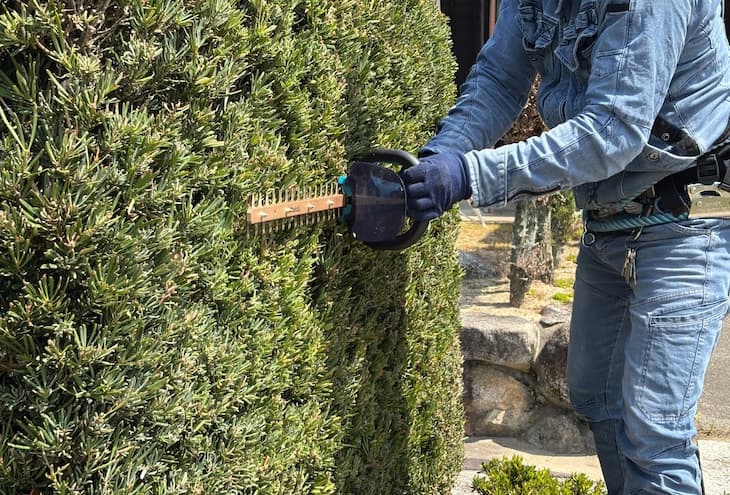 リンクの除草剤作業