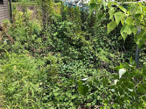 下関のリンクは地域密着で安心サポート