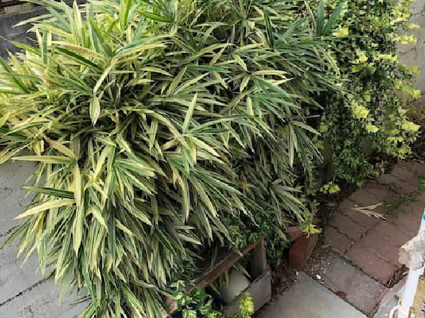 下関のリンクは地域密着で安心サポート